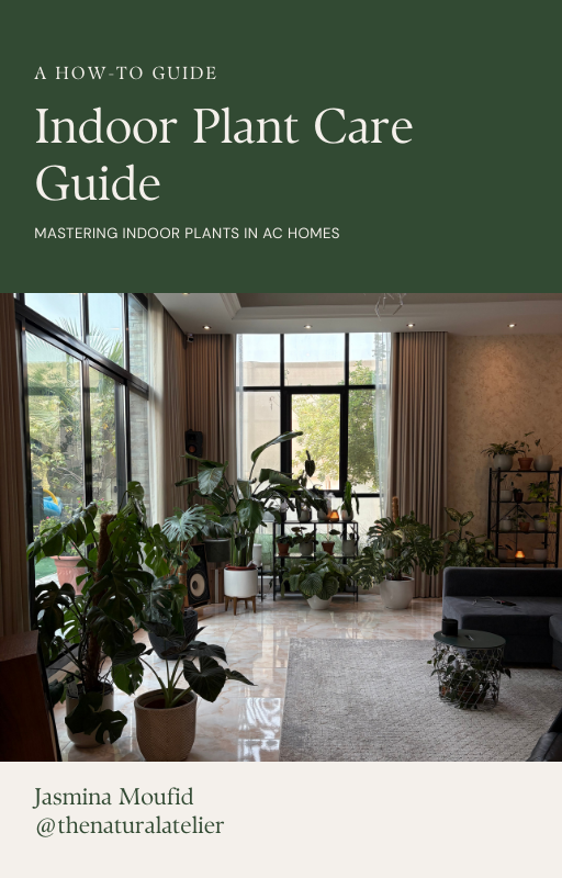 Indoor Plant Care Guide E-book