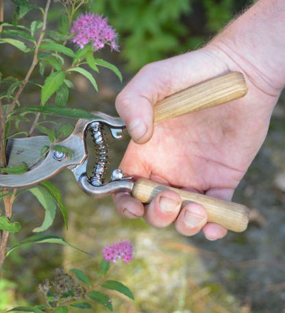 Essential Garden Tool Kit