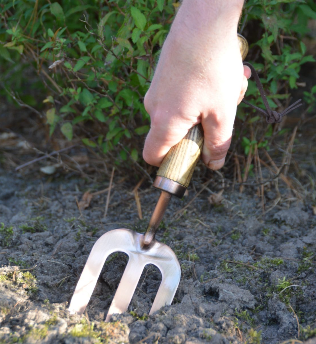 Essential Garden Tool Kit