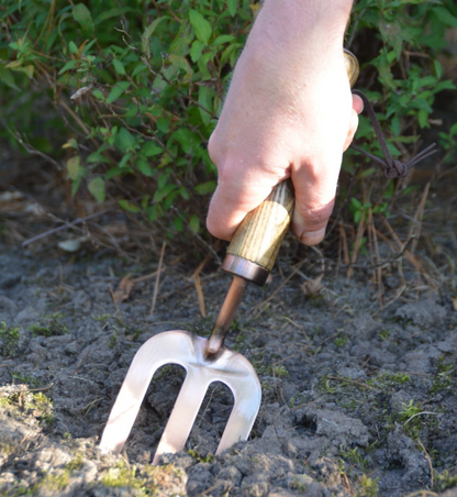 Essential Garden Tool Kit