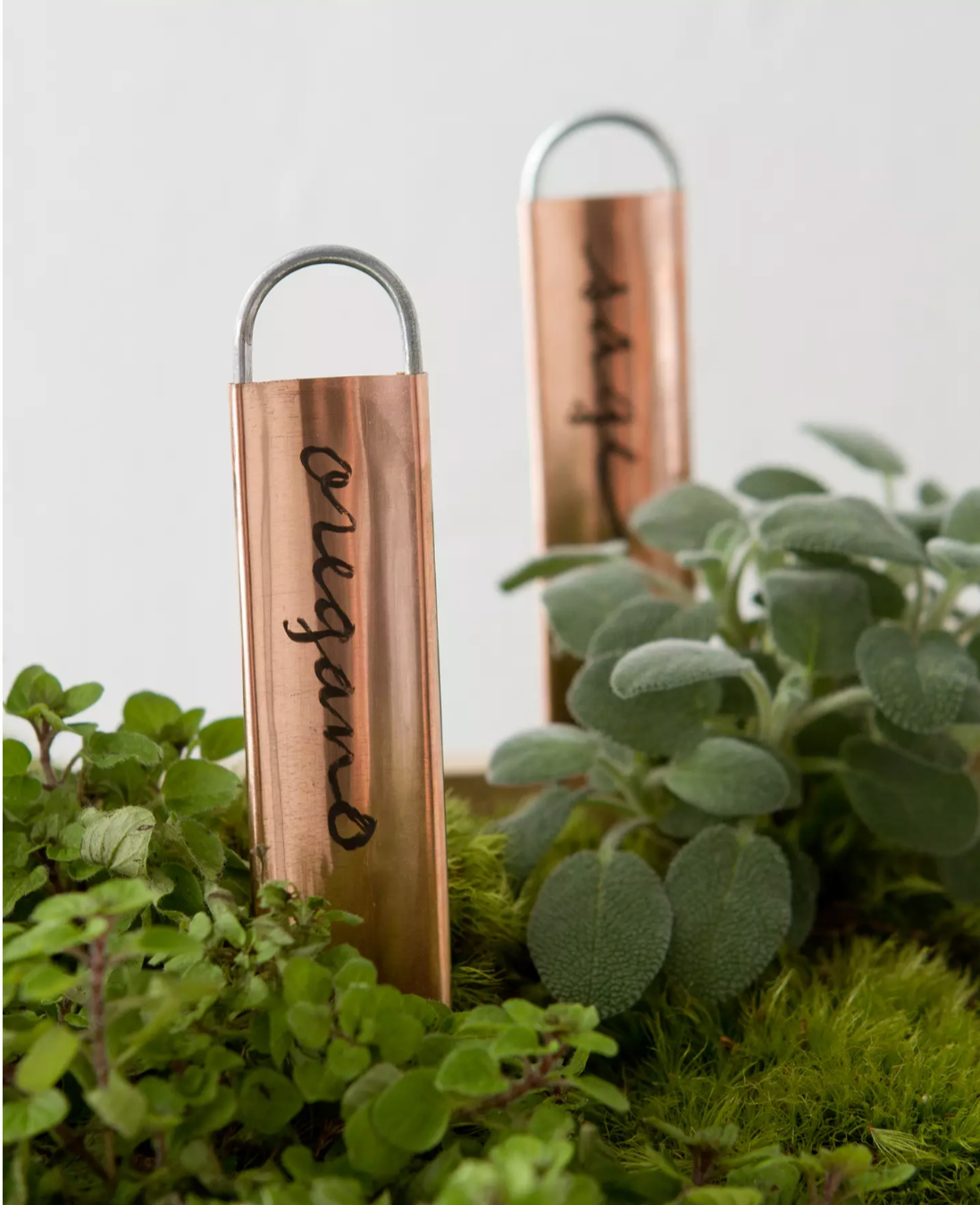Copper Plant Labels